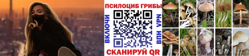 Галлюциногенные грибы Psilocybe  купить   Полесск 